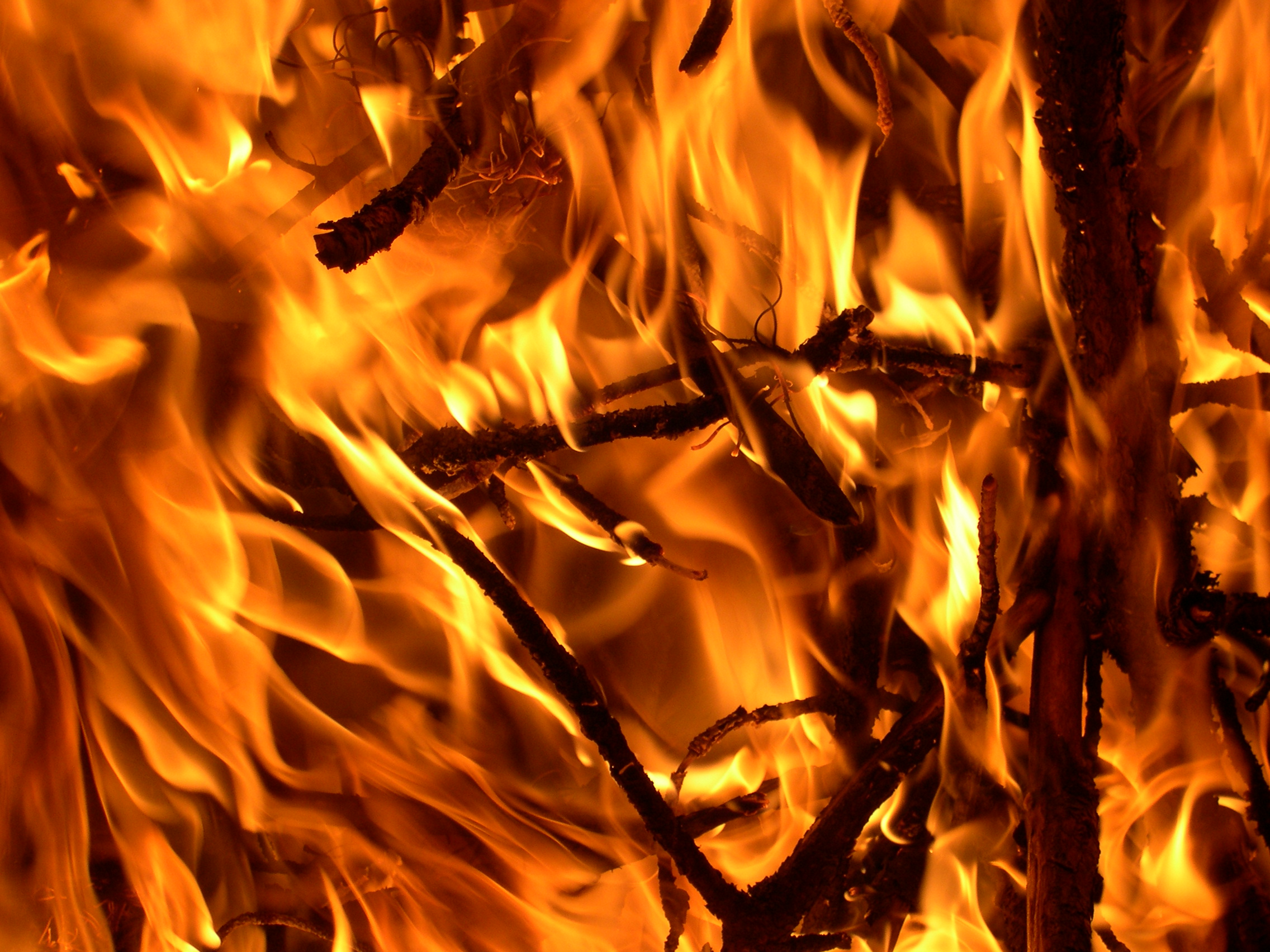 Advent Reflections on the Four Last Things: Hell